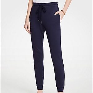 Ann taylor joggers